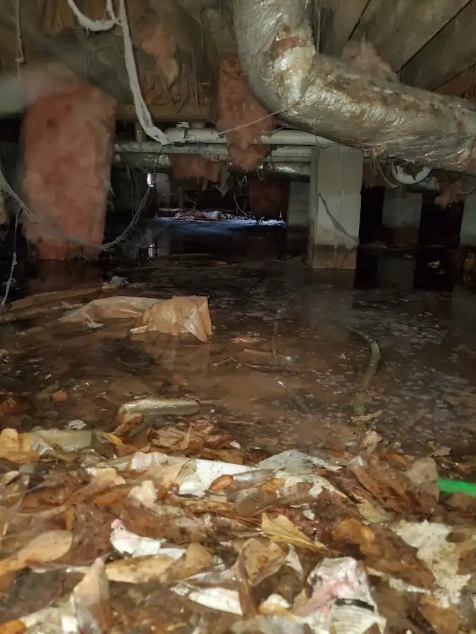 Crawl space flood assessment for Leak Detection & Repair in Pekin