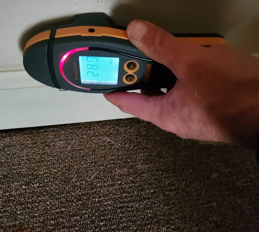 Moisture detection at baseboard during Sewage Cleanup & Sanitation in Pekin